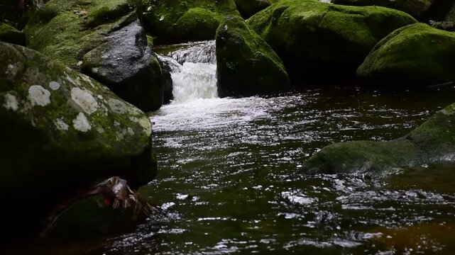 Dat Fa Waterfall in Surat Thani, Thailand