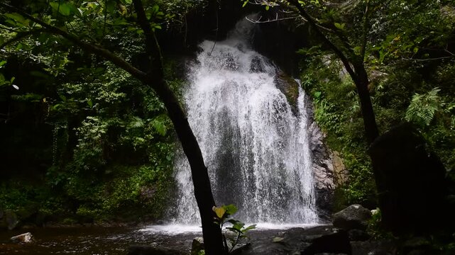 Rim Sai the 3th tier of dad fa waterfall nestled within the lush rainforest of tai rom yen national park in ban na san district surat thani province thailand