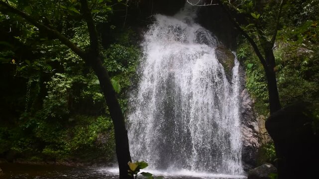 Rim Sai the 3th tier of dad fa waterfall nestled within the lush rainforest of tai rom yen national park in ban na san district surat thani province thailand