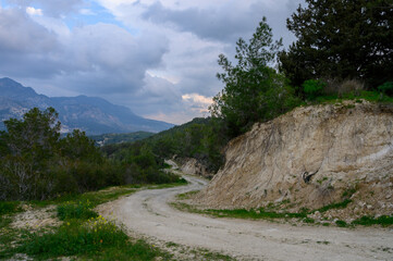 Naklejka premium Winding dirt path through lush greenery under a cloudy sky in a serene mountainous landscape