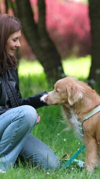 Girl Training Toller Dog To Give A Paw Adorable Nova Scotia Duck Tolling Retriever