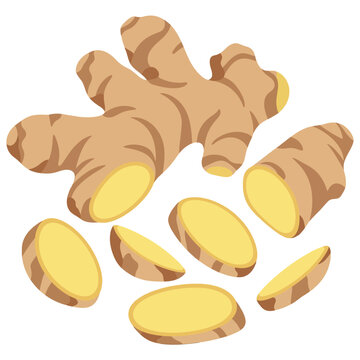 Fresh ginger root with sliced pieces vector illustration