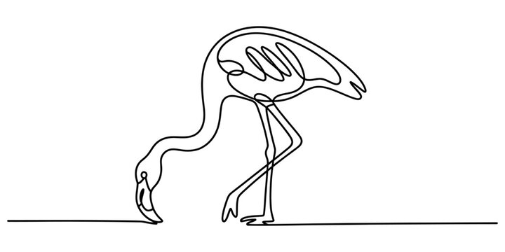 Flamingo bird drawing in a single continuous line style