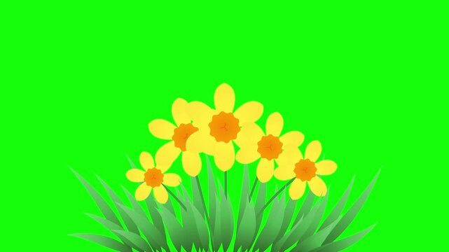 Vibrant yellow cartoon flowers with green leaves are visually presented against a bright green screen background.