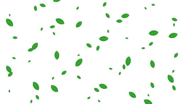 Numerous small green leaves are gently falling and floating downward across a clean white background.