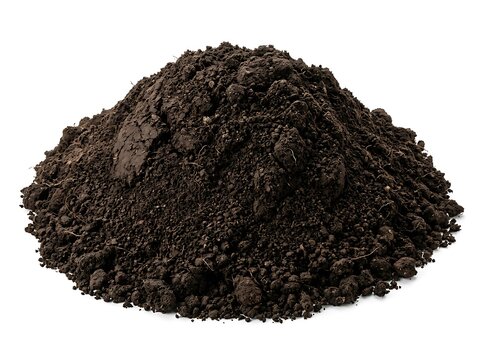 A small pile of dark fertile soil or garden compost