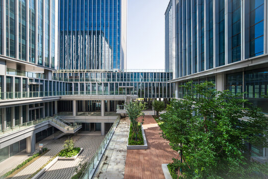 Tranquil Urban Oasis: A Contemporary Courtyard Surrounded by Glass and Nature