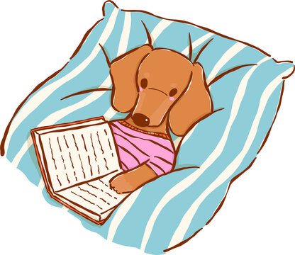 Dachshund Bookish Reading Book in Striped Bed Hand Drawn Illustration