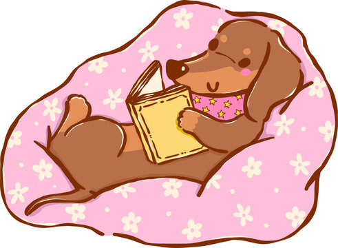 Dachshund Bookish Reading Book in Cozy Couch Hand Drawn Illustration