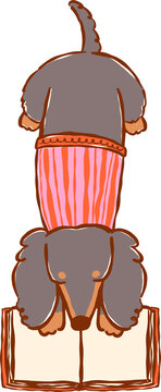 Cute Dachshund Bookish Reading Book Hand Drawn Illustration