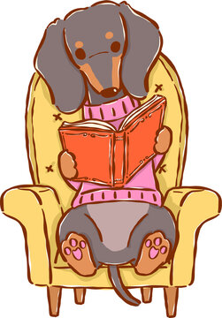Cute Tan Dachshund Bookish Reading Book on Vintage Armchair Hand Drawn Illustration