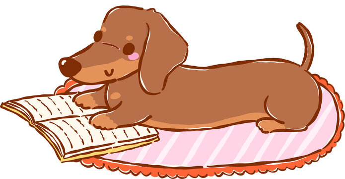 Cute Dachshund Bookish Reading Book on Carpet Hand Drawn Illustration