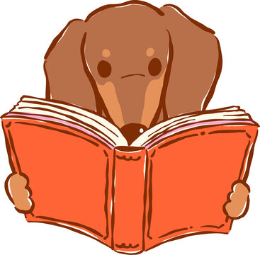 Cute Brown Dachshund Bookish Reading Book  Hand Drawn Illustration