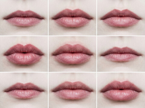 A comprehensive collage showcasing various female mouth expressions and lip shapes captured in a grid format highlighting diversity in human facial features and emotional communication through