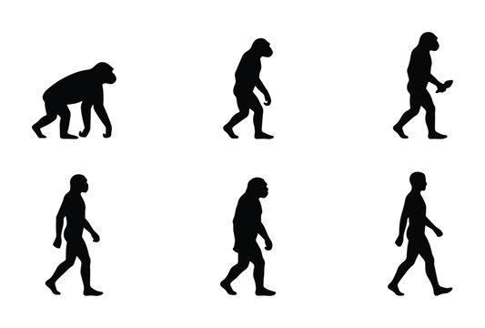 Human Evolution Silhouette Set, Primate to Modern Man, Biological Progression Vector Icons