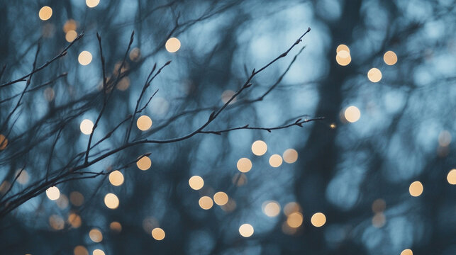 Warm Holiday Bokeh Through Bare Winter Branches