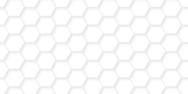 White wall decoration hexagon bee cube element grid tiles. emboss seamless pattern white paper texture futuristic business. vector honeycomb web banner background.
