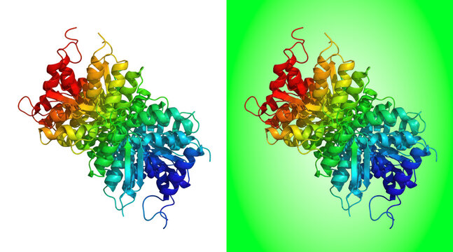 Colorful protein structure molecular 3D rendering