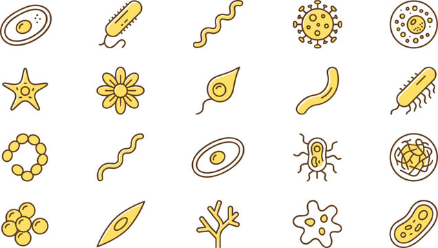 Microbiology and protozoa flat line icon set featuring microscopic bacteria virus cells amoeba organisms and infectious microbes