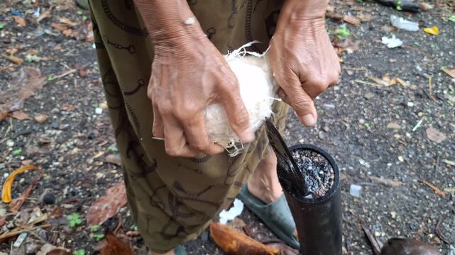 Close up of a person peeling coconut husk using traditional sharp iron spike tool in rural agricultural setting
