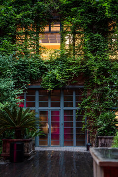 Green building facade is densely covered with climbing vines and foliage. Landscape design, concept of green eco house covered with plants. Urban vertical gardening in Tbilisi. 