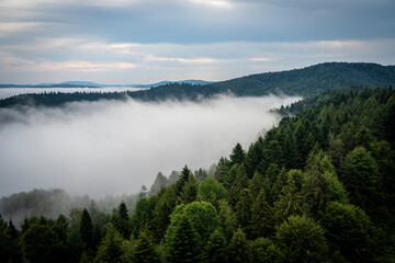 Mgła, góry, Malnik, Beskid Sądecki, lato © Maciej G. Szling