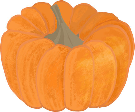 Pumpkin harvest