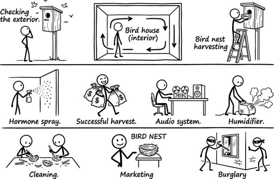 Stick figure storyboard illustrating edible bird nest farming harvesting business operation processing marketing and facility burglary vector