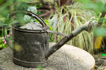 Vintage metal watering can sitting on a stone pedestal in a lush green garden, rustic style © mnimage