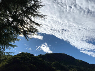 Mackerel clouds drifting over a mountain ridge © 拓也 古田