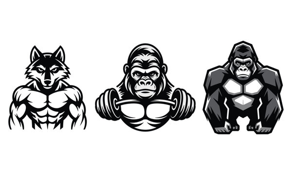 Strong muscular wolf and gorilla characters for sports team logo design