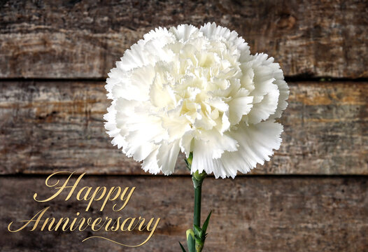 White carnation flower with happy anniversary message on rustic wooden background