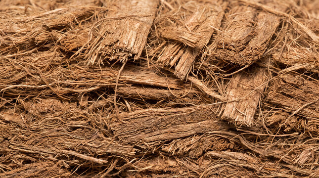 Close up texture of shredded coconut husk fiber used for gardening and organic mulch substrate