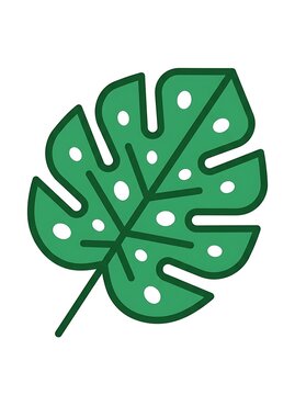 Green monstera leaf vector illustration with white spots on isolated background