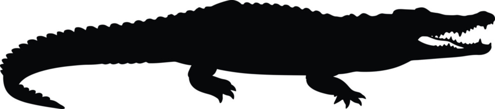 Black crocodile silhouette vector graphic illustration featuring a predatory reptile with open jaws and sharp teeth isolated on white background