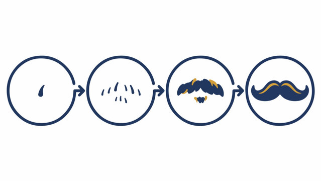 Steps of growing a thick mustache showing progressive stages from a single hair follicle to a full beard icon set