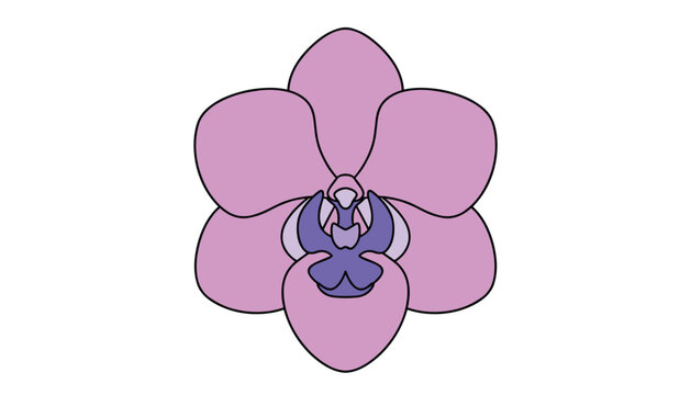 Elegant purple orchid flower vector illustration isolated on white background, perfect for tropical and wellness designs.