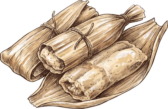 Traditional Mexican Tamales Authentic Corn Dough Food Illustration