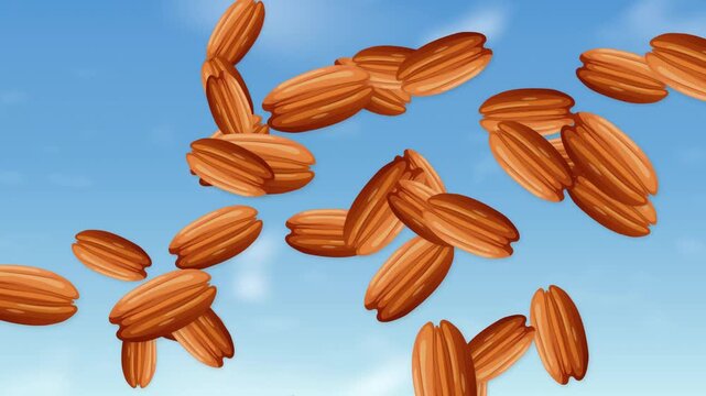 Pecan Nuts Falling and Floating Against a Clear Blue Sky