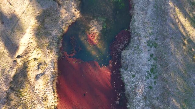 Aerial Top Down View of Creek with Red Algae Bloom