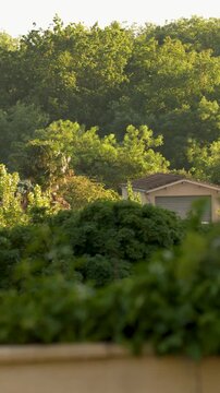 Camera Tilts Down Revealing Houses Among Lush Green Trees