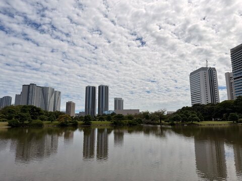 tokyo skyline with blue sky and white clouds 