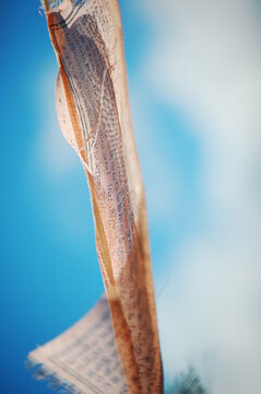 Close-up of a twisted piece of paper against a blue sky