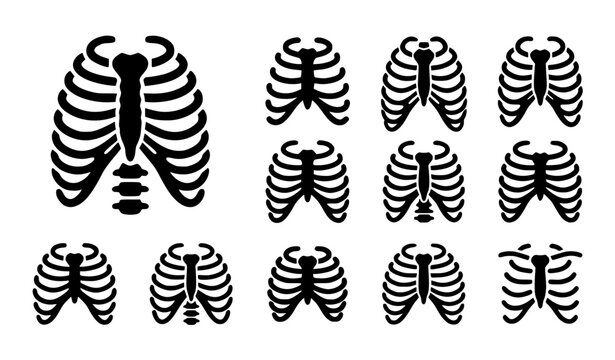 Human Rib Cage Black Glyph Icons Anatomical Medical Vector Symbol Set