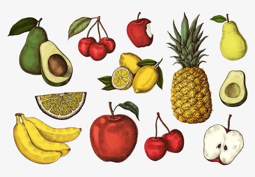 Colorful Hand Drawn Fruit Illustrations Element Design Collection
