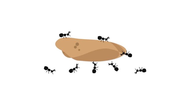 bee on a white background illustration, design, cartoon, black, plant