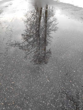 Vertical view of a car tire tread imprint on sodden macadam during seasonal thaw