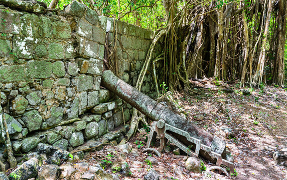 An old historic cannon resting against a mossy stone wall in the lush jungle ruins of Douglas Bay Battery at Cabrits National Park in Dominica.