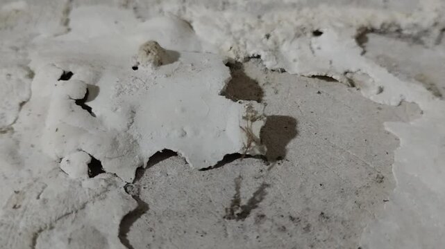 Wall paint is peeling and damaged due to damp walls and water seepage