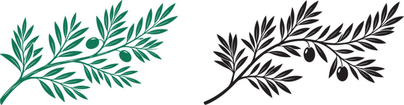 Olive Branch Vector Set - Green and Black Silhouette Botanical Illustration with Olive Leaves and Fruit